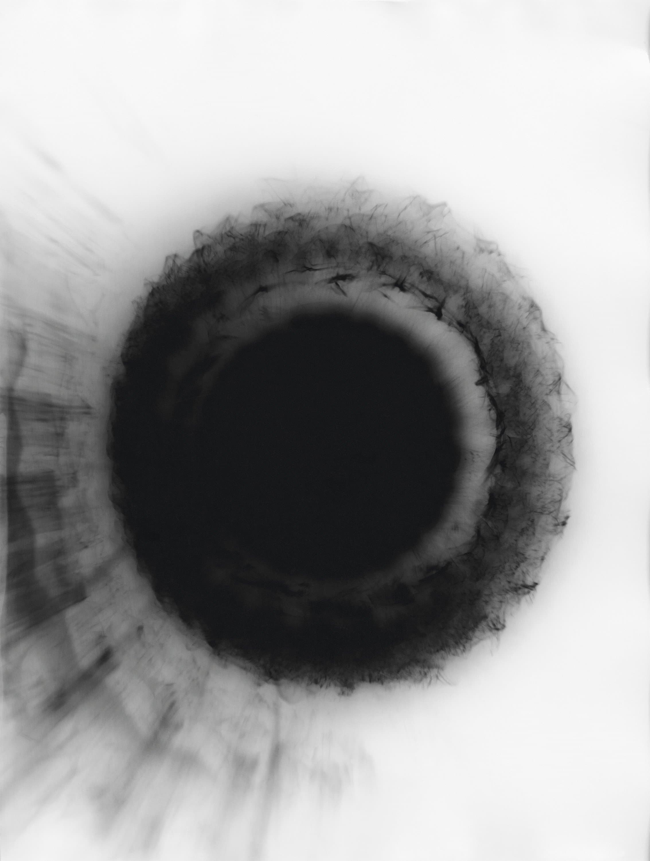 Apricot+(0)_klein_für_web