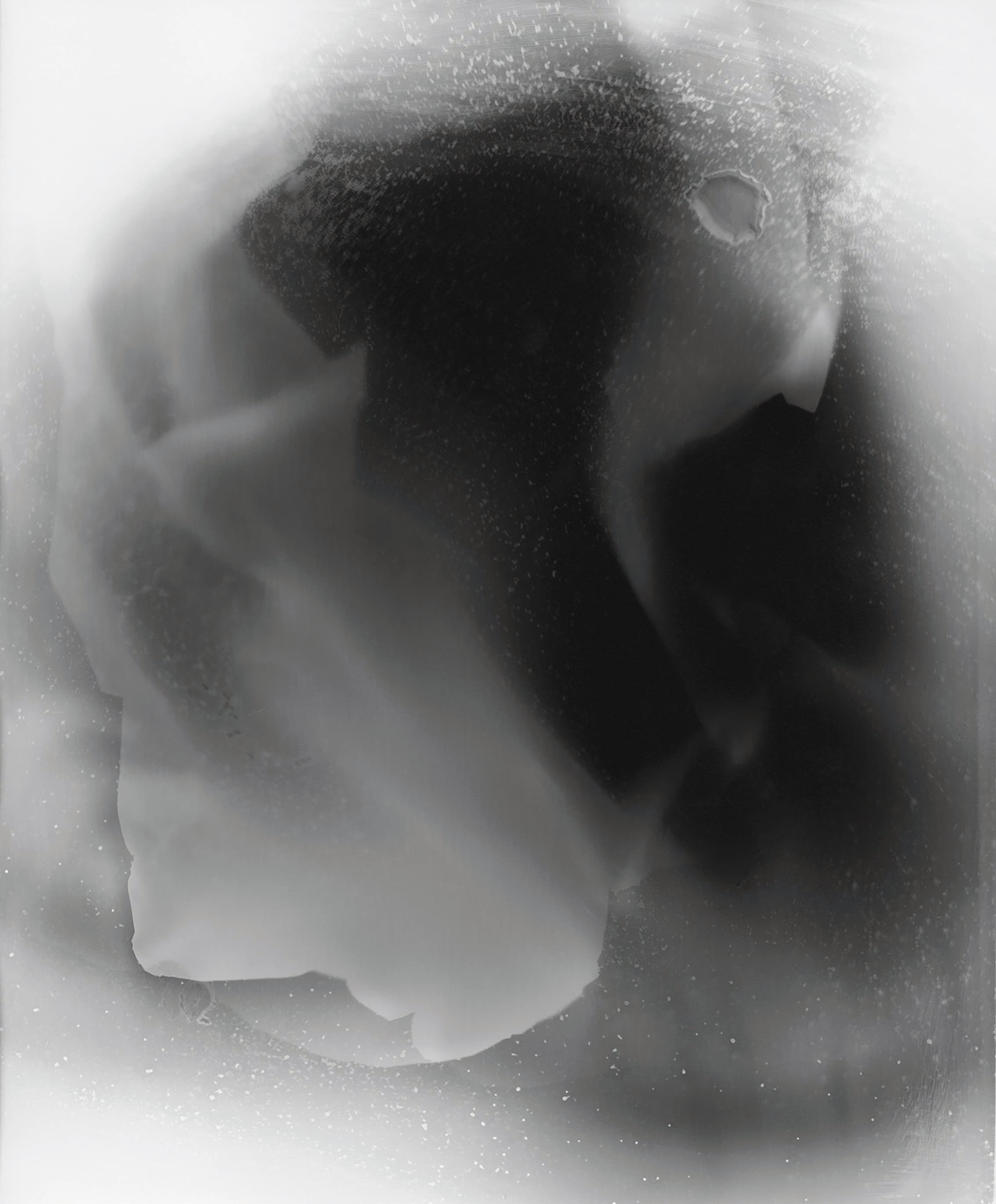 Apricot+(1)_klein+für+web